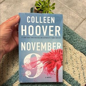 'November 9' Novel - Blue and Pink Cover